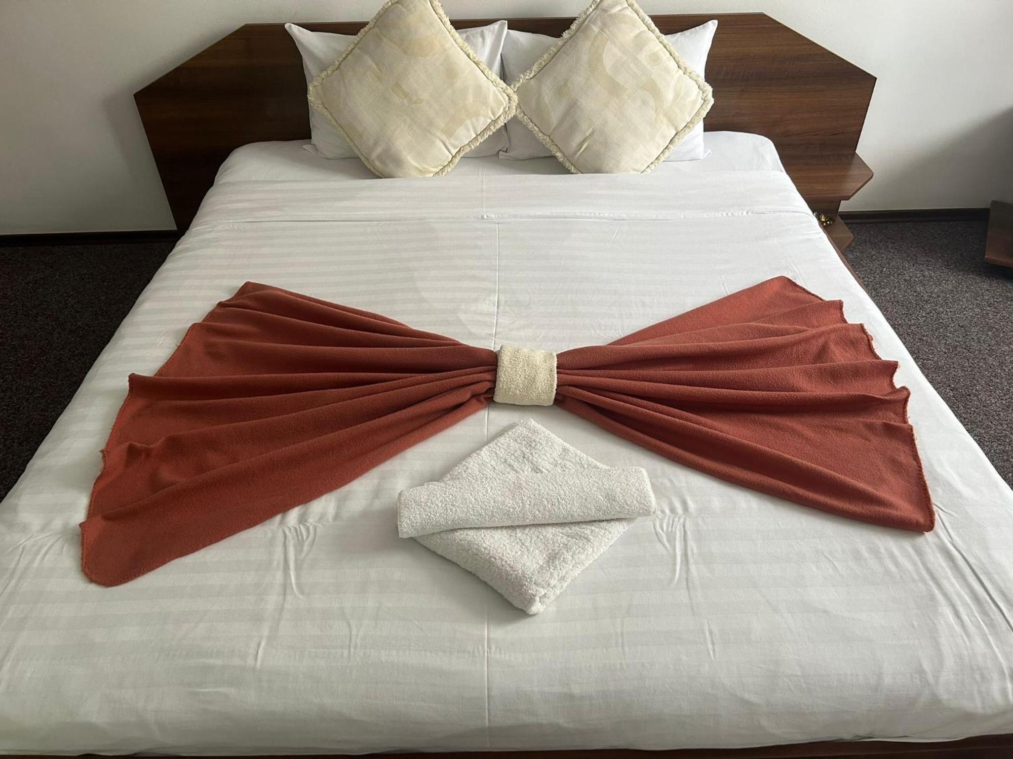 Pensiunea Dacia Deva Chambre photo